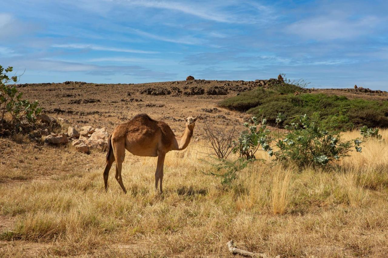 Hotel Alila Hinu Bay Salalah Mirbat Esterno foto